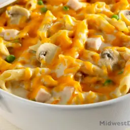 Turkey Tetrazzini with Cheddar and Parmesan Recipe | Midwest Dairy